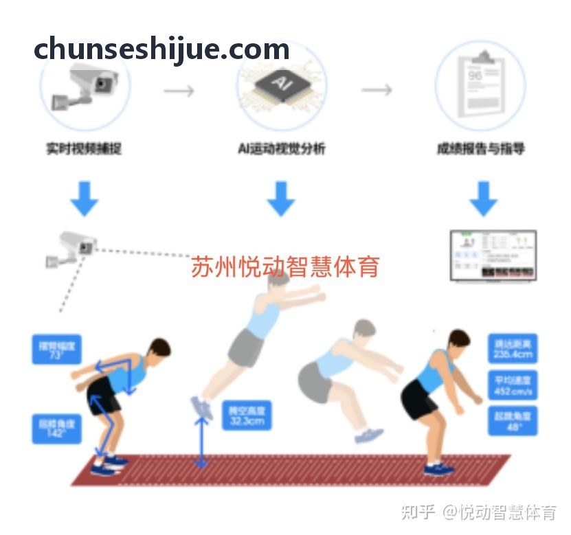 公海硬核竞速仿真模拟画面